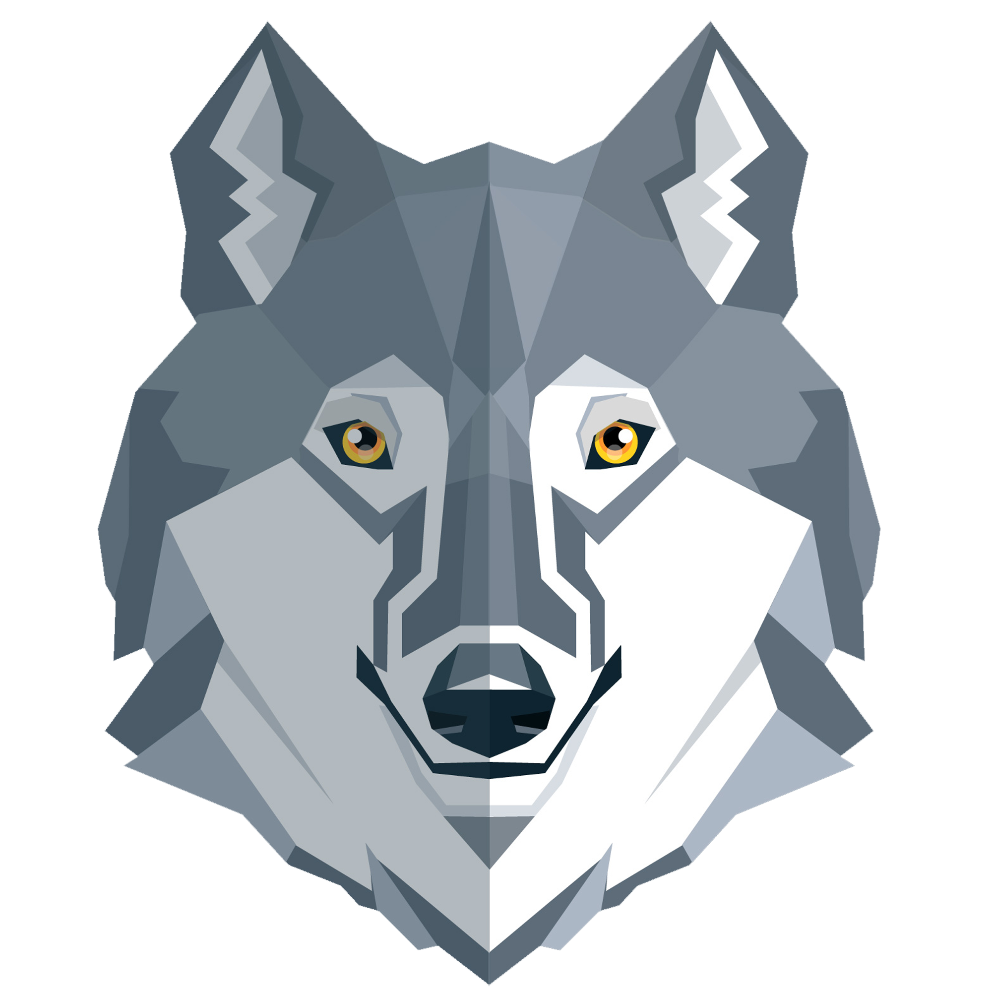 user-image